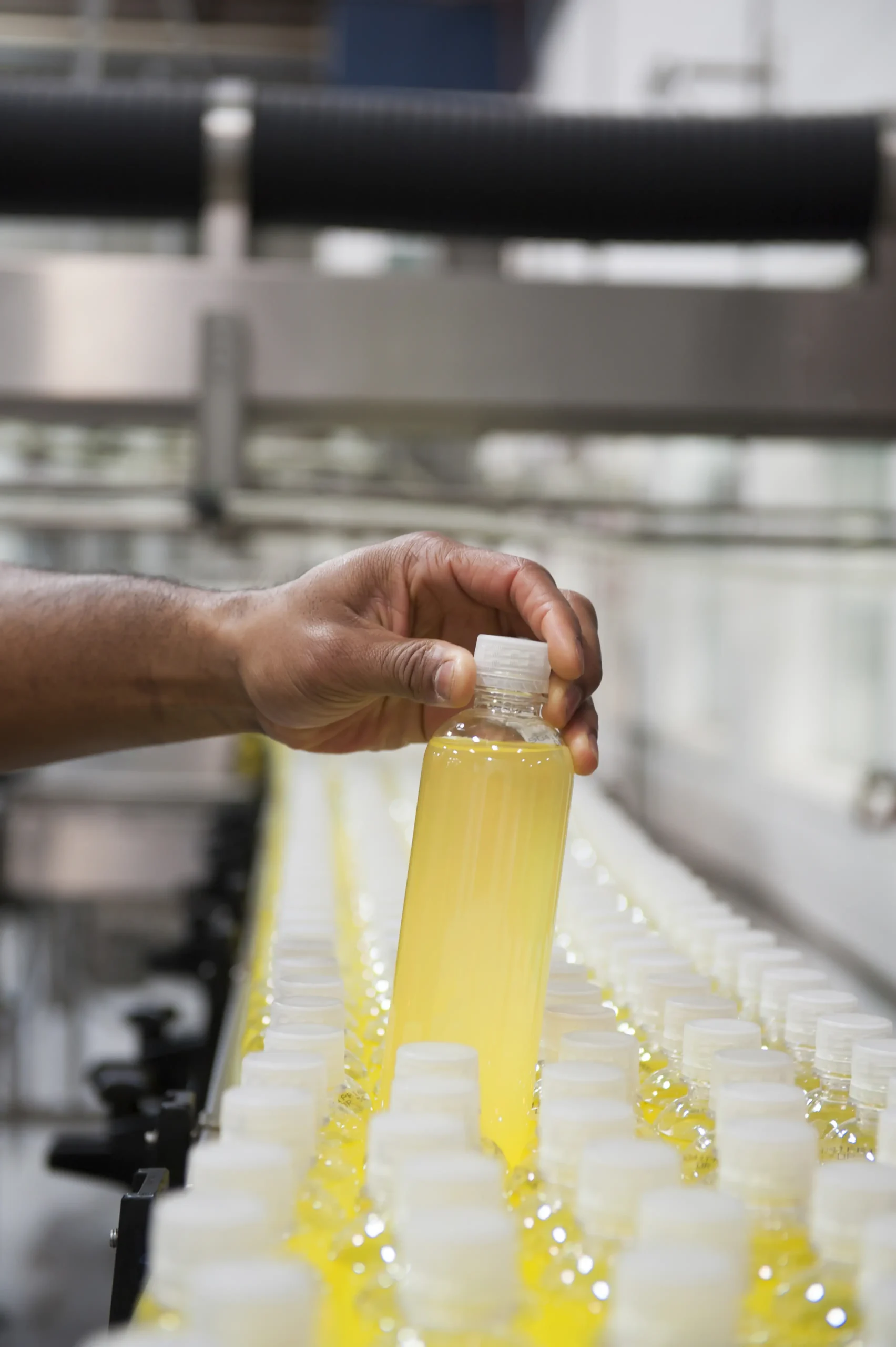 Food processing factory